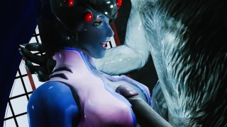 Viúva implacável: Ação pornô Skyrim!
